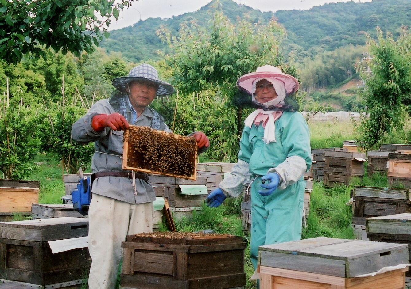 有田みかん蜂蜜中平農園のご夫婦